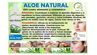 Catalogo virtual precios actuales.   de multialoe