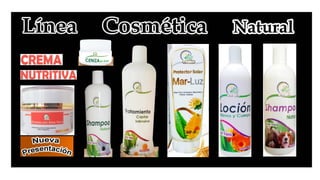 Catalogo virtual precios actuales.   de multialoe