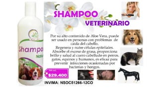 Catalogo virtual precios actuales.   de multialoe
