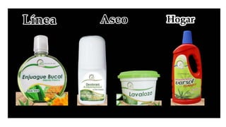 Catalogo virtual precios actuales.   de multialoe