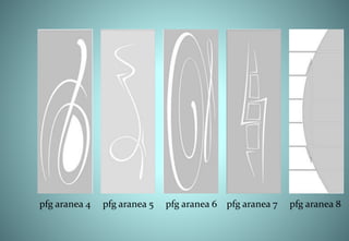 pfg aranea 4 pfg aranea 5 pfg aranea 6 pfg aranea 7 pfg aranea 8
 