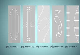 pfg aranea 14 pfg aranea 15 pfg aranea 16 pfg aranea 17 pfg aranea 18
 