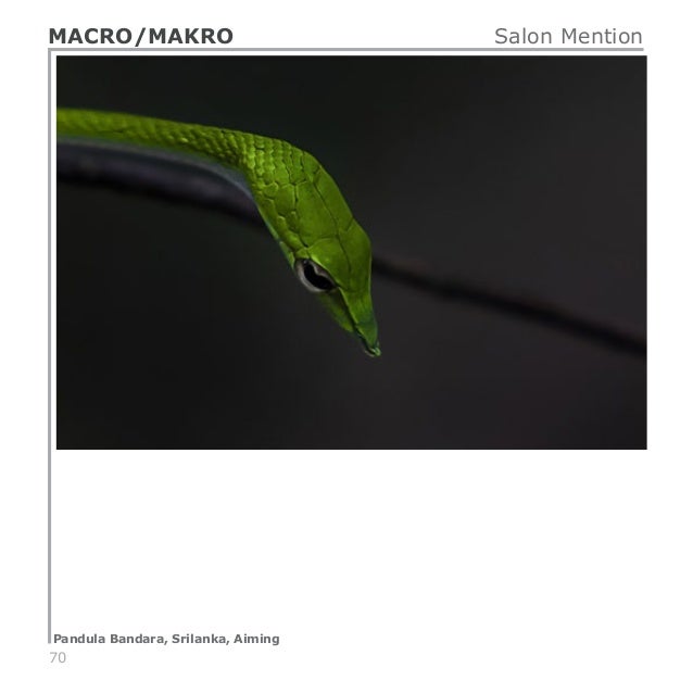 Catalog Shadow 2018 By Serbia Photo