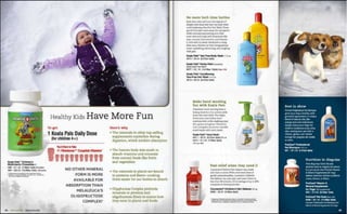 Catalogs Winter 프레젠테이션 2