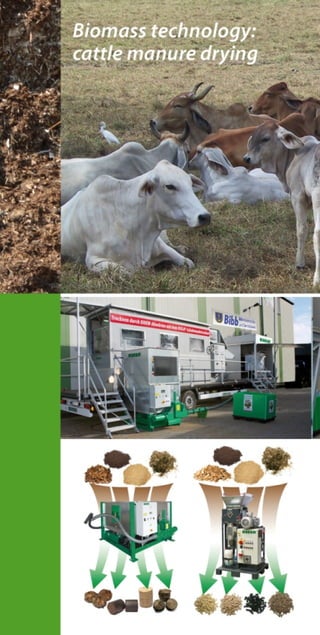 Riela - Catalogue | PDF