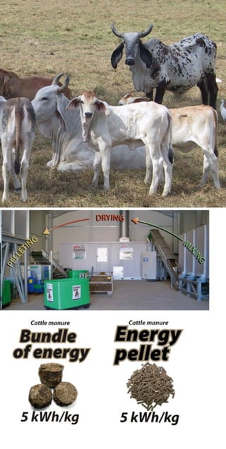 Riela - Catalogue | PDF