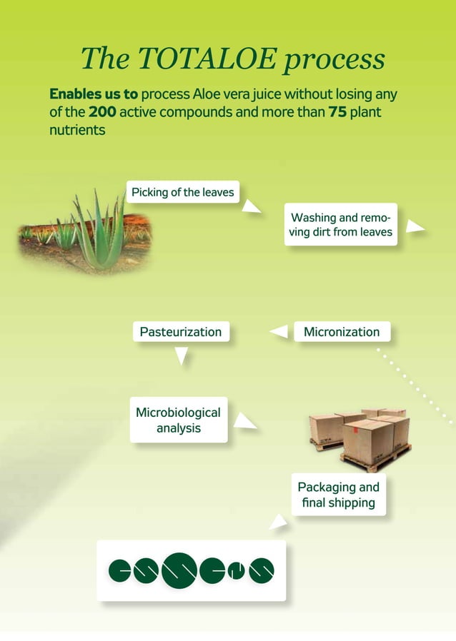 Catalogue Essens - ID: 10001234 | PDF