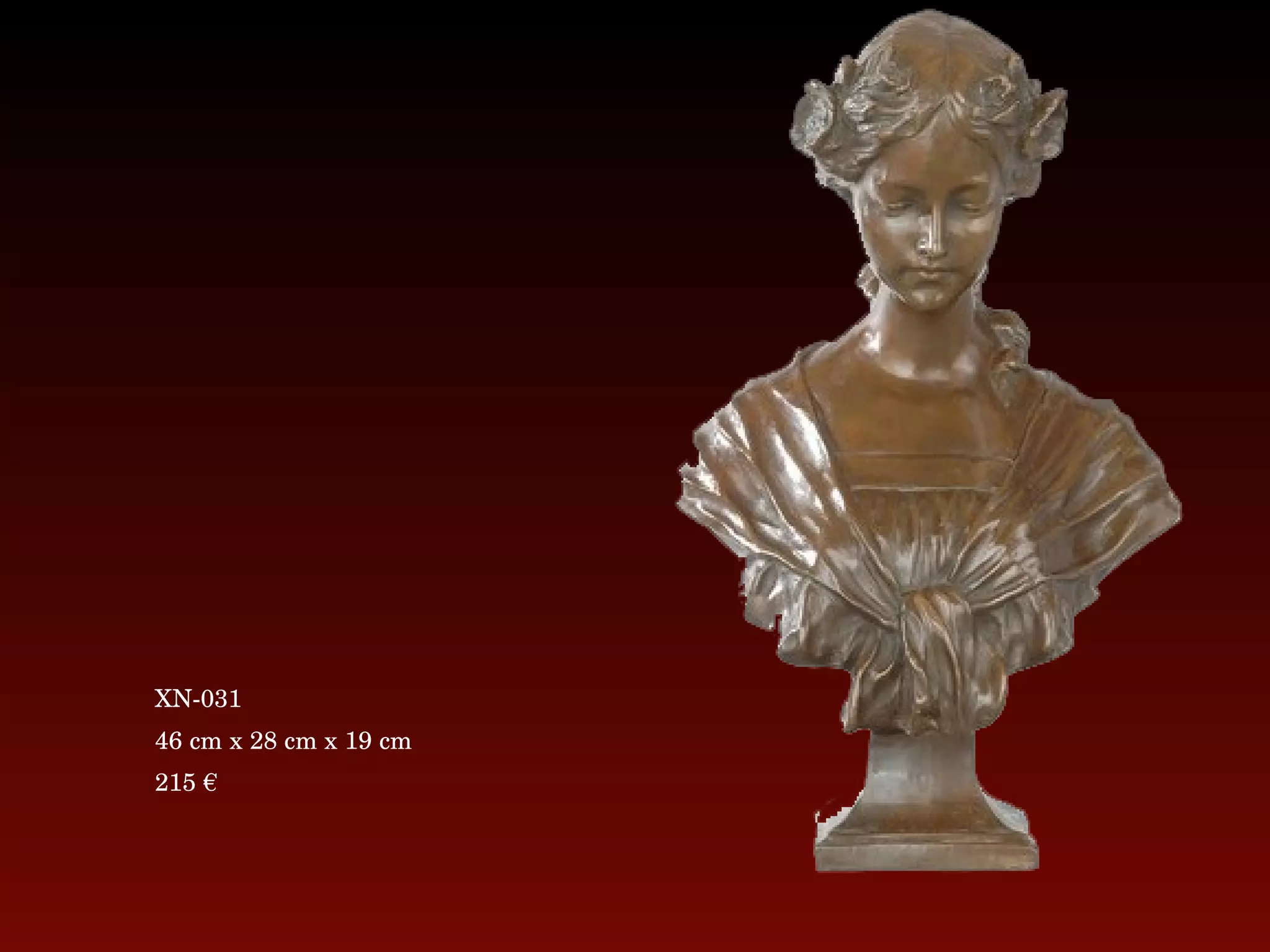 XN-031 46 cm x 28 cm x 19 cm 215 € 