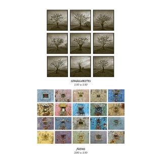 SINGULARITES
130 x 130
JUDAS
200 x 130
 