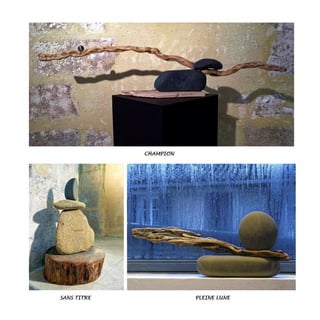 CHAMPION
SANS TITRE PLEINE LUNE
 