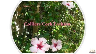 CATALOGUE_2022_mail_Page_01-1.pdf