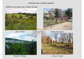 Arbustes des collines boisées
Différents paysages des collines boisées
Parc du Pilat Jardins des utopies
Classe 3
Parc de l ’Europe
Classe 3
Influence Pilat
Bois d ’Avaize
Classe 5
 