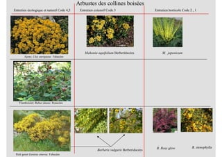 Framboisier; Rubus idaeus Rosacées
Arbustes des collines boisées
Ajonc; Ulex europaeus Fabacées
Petit genet Genista cinerea Fabacées
Entretien écologique et naturel Code 4,5 Entretien extensif Code 3 Entretien horticole Code 2 , 1
Berberis vulgaris Berberidacées
B. Rosy glow B. stenophylla
Mahonia aquifolium Berberidacées M. japonicum
 