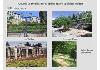 Arbustes de terrains secs ou drainés (adrets ou plaines sèches)
Différents paysages
Classe 2
Le médaillon Le square Chovet
Classe 3
Roseraie du Berland
Classe 3
Le bas du parc
de Montaud
Classe 4
 