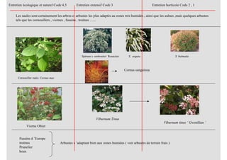 Entretien écologique et naturel Code 4,5 Entretien extensif Code 3 Entretien horticole Code 2 , 1
Les saules sont certainement les arbres et arbustes les plus adaptés au zones très humides , ainsi que les aulnes ,mais quelques arbustes
tels que les cornouillers , viornes , fusains , troènes …...
Cornouiller male; Cornus mas
Spiraea x vanhouttei Rosacées S. arguta S. bulmada
Cornus sanguinea
Viorne Obier
Viburnum Tinus
Viburnum tinus ‘ Gwenllian ’
Fusains d ’Europe
troènes
Prunelier
houx
Arbustes s ’adaptant bien aux zones humides ( voir arbustes de terrain frais )
 