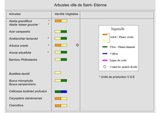 Abelia grandiflora *
Abelia ‘edwar goucher ‘ *
Acer campestris
Amélanchier lamarckii *
Arbutus unedo *
Aronia arbutifolia *
Bambou Phillostachis
Buddleia davidii
Buxus microphylla
Buxus sempervirens
Callicarpa bodinieri profusion
Caryopteris clandonensis
Ceanothus
Arbustes ville de Saint- Etienne
Arbustes Identité Végétales
* Unité de production V.S.E
 