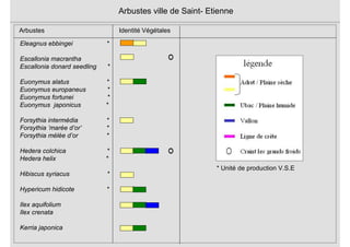 Eleagnus ebbingei *
Escallonia macrantha
Escallonia donard seedling *
Euonymus alatus *
Euonymus europaneus *
Euonymus fortunei *
Euonymus japonicus *
Forsythia intermédia *
Forsythia ’marée d’or’ *
Forsythia mélée d’or *
Hedera colchica *
Hedera helix *
Hibiscus syriacus *
Hypericum hidicote *
Ilex aquifolium
Ilex crenata
Kerria japonica
Arbustes ville de Saint- Etienne
Arbustes Identité Végétales
* Unité de production V.S.E
 