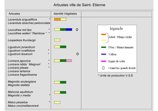 Lavandula angustiflora *
Lavandula stoechas pedunculata
Leucothea red lips *
Leucothea walteri ‘’Raimbow ‘’ *
Lespedeza thunbergii
Ligustrum jonandrum
Ligustrum ovalifolium *
Ligustrum texanum *
Lonicera japonica *
Lonicera nitida ‘ Maigrum’ *
Lonicera pileata *
Lonicera tartarica
Lonicera fragantissima
Magnolia soulangiana
Magnolia stellata
Mahonia aquifolium
Magnolia x media *
Malus perpetue *
Malus coccinellaeverest
Arbustes ville de Saint- Etienne
Arbustes Identité Végétales
* Unité de production V.S.E
 