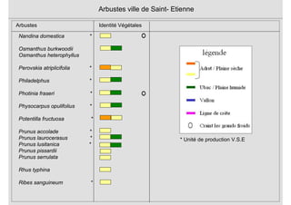 Nandina domestica *
Osmanthus burkwoodii
Osmanthus heterophyllus
Perovskia atriplicifolia *
Philadelphus *
Photinia fraseri *
Physocarpus opulifolius *
Potentilla fructuosa *
Prunus accolade *
Prunus laurocerasus *
Prunus lusitanica *
Prunus pissardii
Prunus serrulata
Rhus typhina
Ribes sanguineum *
Arbustes ville de Saint- Etienne
Arbustes Identité Végétales
* Unité de production V.S.E
 
