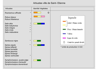 Rosmarinus offinalis *
Rubus idaeus
Rubus thibetanus *
Salix alba *
Salix babylonica *
Salix integra *
Salix irrota *
Salix matsudana *
Sambucus nigra *
Spirea arguta *
Spirea billiardii
Spirea bumalda
Spirea japonica
Spirea thnbergii
Spirea vanhouttei *
Symphoricarpos purple edge
Symphoricarpos chenaultii
Symphoricarpos doorenbosii
Arbustes ville de Saint- Etienne
Arbustes Identité Végétales
* Unité de production V.S.E
 