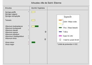 Syringa greffé *
Syringa vulgaris
Syringa microphylla
Tamaris
Viburnum bodnantence *
Viburnum burkwoodii
Viburnum davidii *
Viburnum opulus
Viburnum plicatum
Viburmum rhytidophillum *
Viburnum tinus *
Vinca minor *
Vinca major *
Arbustes Identité Végétales
Arbustes ville de Saint- Etienne
* Unité de production V.S.E
 