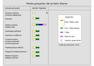 Plantes grimpantes ville de Saint- Etienne
arbustes grimpants Identité Végétales
Campsis radicans
Campsis tagliabuana
Clematis
Hedera colchica
Hedera helix
Hydrangea petiolaris
Jasminum nudiflorum
Lonicera brownii
Lonicera heckrottii
Lonicera japonica
Parthenocissus weitchii
Polygonum baldschuanicum
Wisteria ikoyama
Wisteria sinensis
* Unité de production V.S.E
 