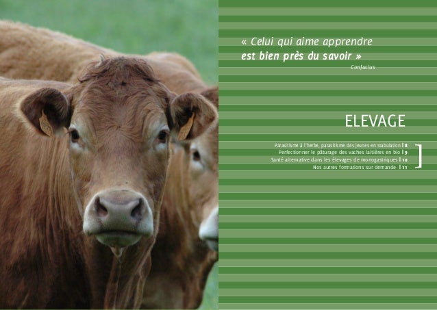 Comme se nourrissent les parasites les exemples