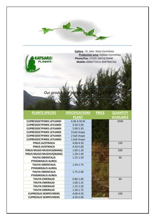 Gallery : St. John Kiato Corinthias
Production area: Kefalari Corinthias
Phone/Fax: 27420-26614/26440
Mobile: 6944773315-6947945763
Our production plants offer 2015 - 2016
PLANTS SPECIES SPECIFICATIONS
PLANT
PRICE QUANTITY
AVAILABLE
CUPRESSOCYPARIS LEYLANDI 4.00-4.50 M 3500
CUPRESSOCYPARIS LEYLANDI 4.50-5.00
CUPRESSOCYPARIS LEYLANDI 5.00-5.50
CUPRESSOCYPARIS LEYLANDI 3 ball shape
CUPRESSOCYPARIS LEYLANDI 2 ball shape
CUPRESSOCYPARIS LEYLANDI 1 ball shape
PINUS AUSTRIACA 4.00-4.50 150
PINUS AUSTRIACA 4.50-5.00
PINUS MUGO MUGHUS(NANA) 1.00-1.20 200
PINUS MUGO MUGHUS(NANA) 1.20-1.40
THUYA ORIENTALIS
PYRAMIDALIS AUREA
1.25-1.50 90
THUYA ORIENTALIS
PYRAMIDALIS AUREA
1.50-1.75
THUYA ORIENTALIS
PYRAMIDALIS AUREA
1.75-2.00
THUYA EMERAUD 0.80-1.00 60
THUYA EMERAUD 1.00-1.25
THUYA EMERAUD 1.25-1.50
THUYA EMERAUD 1.50-1.75
CUPRESSUS SEMPEVIRENS 4.00-4.50 160
CUPRESSUS SEMPEVIRENS 4.50-5.00
 