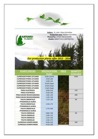 Gallery : St. John Kiato Corinthias
Production area: Kefalari Corinthias
Phone/Fax: 27420-26614/26440
Mobile: 6944773315-6947945763
Our production plants offer 2015 - 2016
PLANTS SPECIES SPECIFICATIONS
PLANT
PRICE QUANTITY
AVAILABLE
CUPRESSOCYPARIS LEYLANDI 4.00-4.50 M 3500
CUPRESSOCYPARIS LEYLANDI 4.50-5.00
CUPRESSOCYPARIS LEYLANDI 5.00-5.50
CUPRESSOCYPARIS LEYLANDI 3 ball shape
CUPRESSOCYPARIS LEYLANDI 2 ball shape
CUPRESSOCYPARIS LEYLANDI 1 ball shape
PINUS AUSTRIACA 4.00-4.50 150
PINUS AUSTRIACA 4.50-5.00
PINUS MUGO MUGHUS(NANA) 1.00-1.20 200
PINUS MUGO MUGHUS(NANA) 1.20-1.40
THUYA ORIENTALIS
PYRAMIDALIS AUREA
1.25-1.50 90
THUYA ORIENTALIS
PYRAMIDALIS AUREA
1.50-1.75
THUYA ORIENTALIS
PYRAMIDALIS AUREA
1.75-2.00
THUYA EMERAUD 0.80-1.00 60
THUYA EMERAUD 1.00-1.25
THUYA EMERAUD 1.25-1.50
THUYA EMERAUD 1.50-1.75
CUPRESSUS SEMPEVIRENS 4.00-4.50 160
CUPRESSUS SEMPEVIRENS 4.50-5.00
 