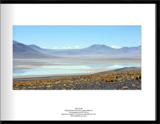 Catalogue paysages abstraits