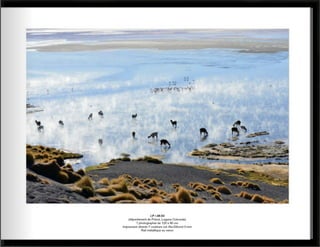 Catalogue paysages abstraits