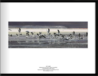 Catalogue paysages abstraits