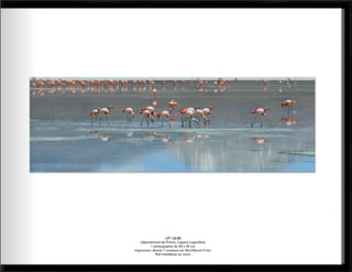 Catalogue paysages abstraits