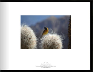 Catalogue paysages abstraits