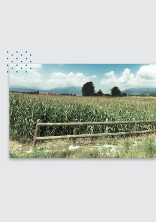 SansPower Product Catalog