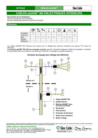 OPTIQUE CÂBLES µGAINE®
CABLES µGAINE®
MS DIELECTRIQUES INTERIEURS
Documents de normalisation :
Normes européennes série EN 60794
Normes internationales séries CEI 60794 & CEI 60332
Utilisation
Excellent ●
Très bon ● ●
Bon ● ● ● ● ● ●
Moyen
Médiocre
Les câbles µGAINE
®
MS intérieurs sont conçus pour le câblage des colonnes montantes des réseaux FTTx dans les
bâtiments.
La structure µGAINE
®
MS offre les avantages suivants: grandes compacité et légèreté, facilité de manipulation, modularité
et accessibilité aisée aux modules et aux fibres (pour dérivation ou piquage sur grandes longueurs).
Toute reproduction ou utilisation interdites sans l'autorisation de Silec Cable - En raison de l'évolution technique, Silec Cable se réserve le droit, à tout moment et sans préavis, de modifier les caractéristiques
techniques annoncées pour ce produit et/ou de cesser la fabrication de celui-ci. La marque Silec est une marque déposée.
Câbles Télécom / Service Commercial
Tel. 01 41 98 09 21 - Fax 01 49 98 09 29 - Email : contact@sileccable.com
Siège social : Rue de Varennes Prolongée - 77876 MONTEREAU CEDEX – France
Tél. : + 33 1 60 57 30 00 Fax : + 33 1 60 57 30 15 www.sileccable.com
SAS au capital de 60 037 000 € - 484 920 194 RCS Melun
 