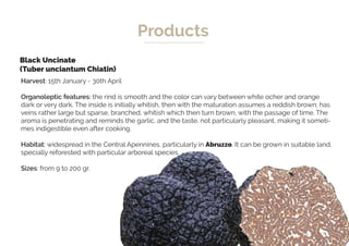 Catalogue truffles