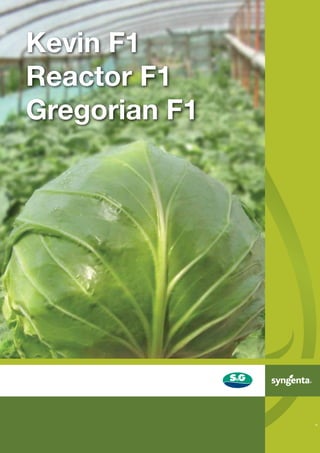 Kevin F1
Reactor F1
Gregorian F1




               ®




                   TM
 