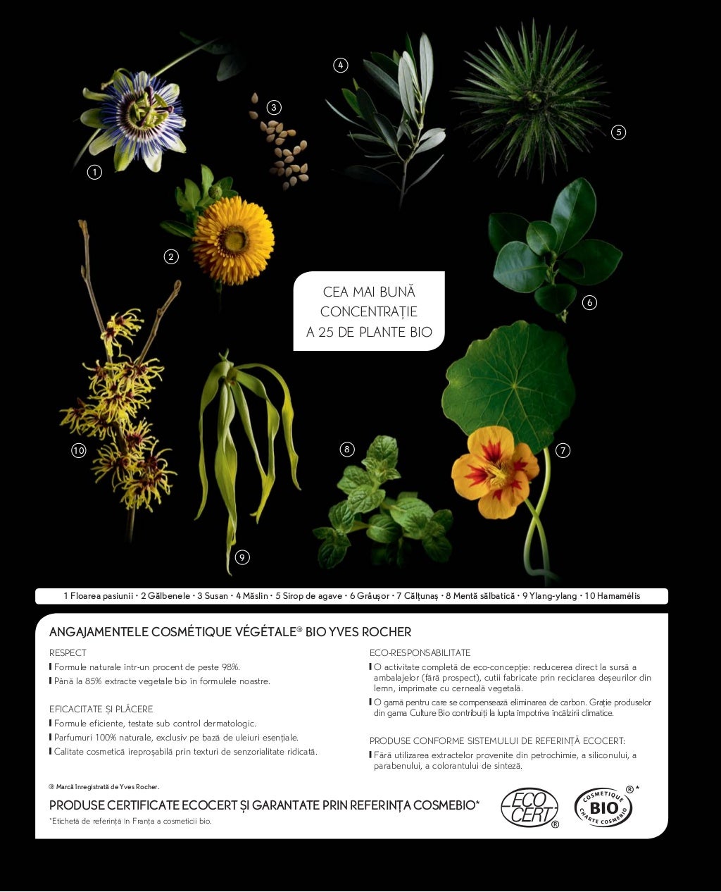 Catalog yves rocher