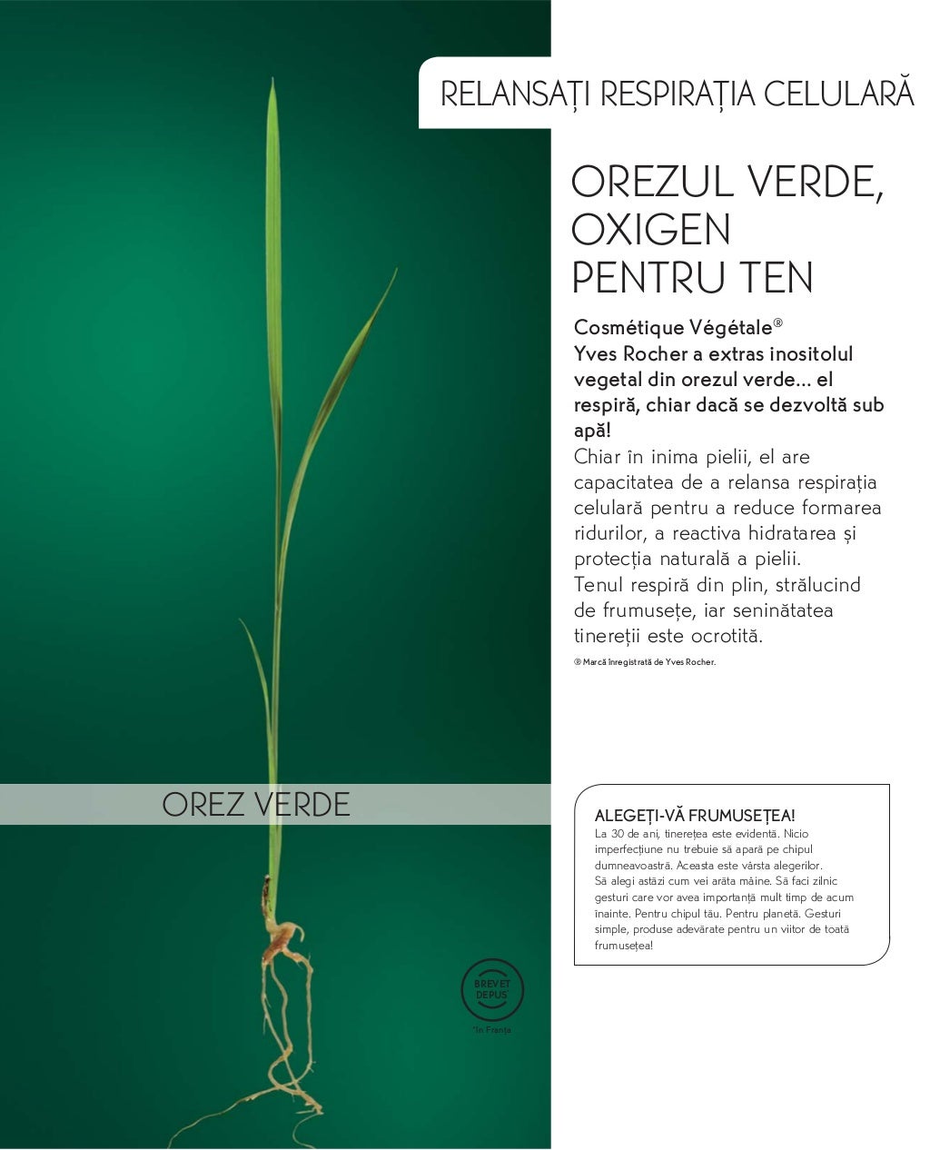 Catalog yves rocher