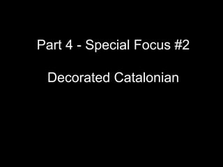 Part 4 - Special Focus #2
Decorated Catalonian
 