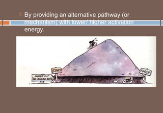 Catalyst & Catalysis | PPT