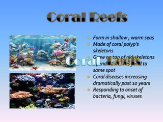 Pacific is largest and deepest