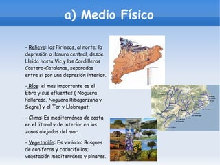 a) Medio Físico
- Relieve: los Pirineos, al norte; la
depresión o llanura central, desde
Lleida hasta Vic,y las Cordilleras
Costero-Catalanas, separadas
entre si por una depresión interior.
- Ríos: el mas importante es el
Ebro y sus afluentes ( Noguera
Pallaresa, Noguera Ribagorzana y
Segre) y el Ter y Llobregat.
- Clima: Es mediterráneo de costa
en el litoral y de interior en las
zonas alejadas del mar.
- Vegetación: Es variada: Bosques
de coníferas y caducifolios;
vegetación mediterránea y pinares.

 
