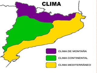 CLIMA

 
