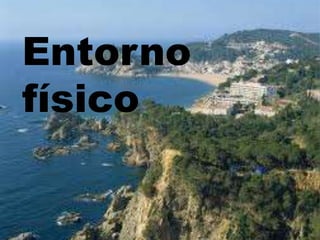 Entorno
físico

 