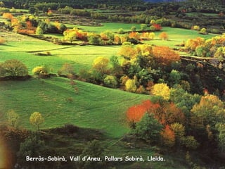 Berròs-Sobirà, Vall d’Aneu, Pallars Sobirà, Lleida. 