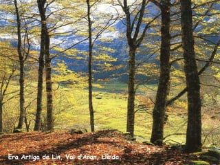 Era Artiga de Lin, Val d’Aran, Lleida. 