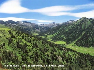 Val de Ruda, i circ de Saborédo, Val d’Aran, Lleida. 