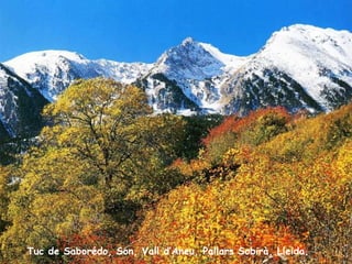 Tuc de Saborédo, Son, Vall d’Aneu, Pallars Sobirà, Lleida. 